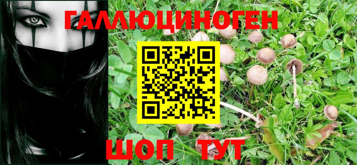 Псилоцибиновые грибы прущие грибы  Галлюциногенные грибы Magic Shrooms  Иваново  Вход с VPN 